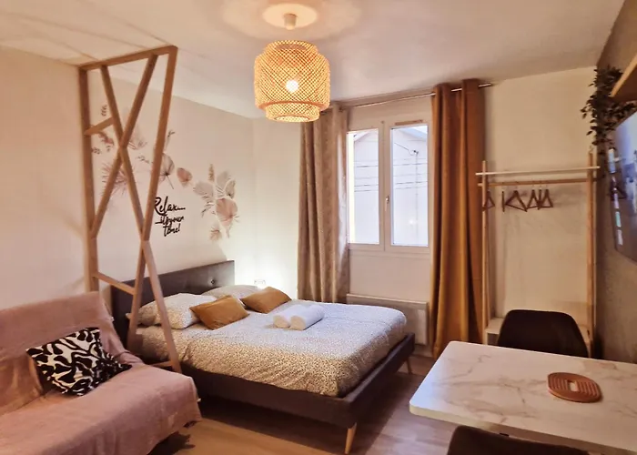 Appartamento Eden Bohème - Chu, Parc Des Expos, Parking, Netflix *