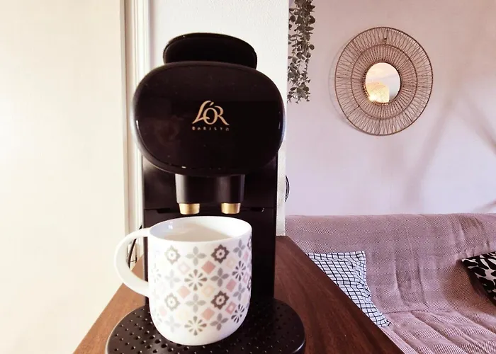 Eden Boheme - Chu, Parc Des Expos, Parking, Netflix Poitiers